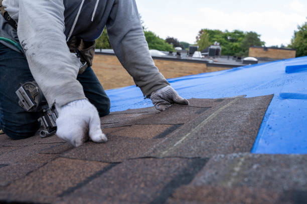 Best Roof Waterproofing Services  in Martinsville, NJ